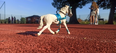 IMG_20240419_202459