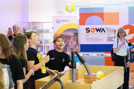sowa 1